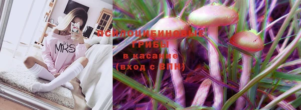 таблы Новозыбков