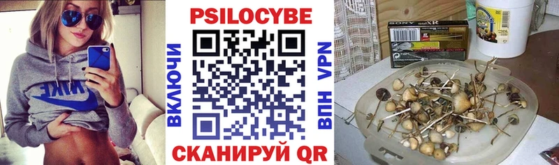 Купить  Меленки  Галлюциногенные грибы Psilocybe 
